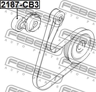 Febest 2187-CB3 - Szíjtárcsa / vezetőgörgő, hosszbordás szíj parts5.com