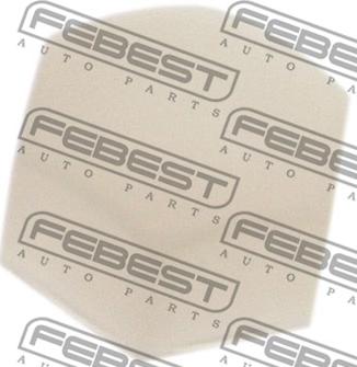 Febest NCAP-T30 - Limitator, brat axa parts5.com