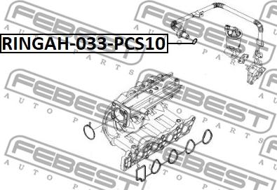 Febest RINGAH-033-PCS10 - Σέτ τσιμούχες, σύστημα AGR parts5.com