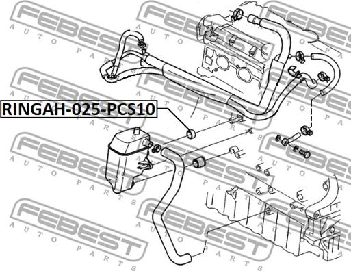 Febest RINGAH-025-PCS10 - К-кт уплътнения, EGR-система parts5.com