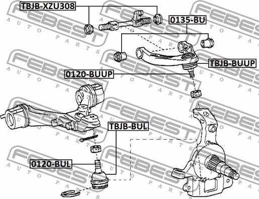 Febest TBJB-XZU308 - Chit reparatie, articulatie directie parts5.com