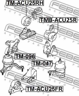 Febest TMB-ACU25R - Suport motor parts5.com