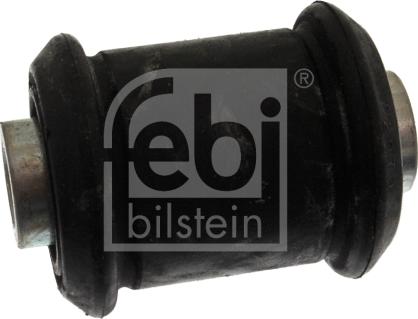 Febi Bilstein 02070 - Yataklama, Bugi kolu parts5.com