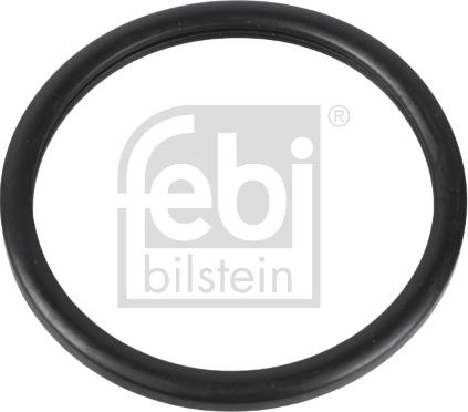 Febi Bilstein 10255 - Уплътнение, термостат parts5.com