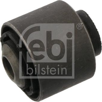 Febi Bilstein 36993 - Yataklama, Bugi kolu parts5.com