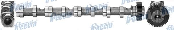 Freccia CM05-2195 - Ax cu came parts5.com