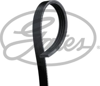 Gates 4PK1048 - V-Ribbed Belt parts5.com