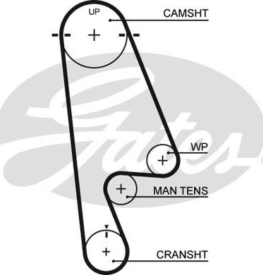 Gates 5480XS - Οδοντωτός ιμάντας parts5.com