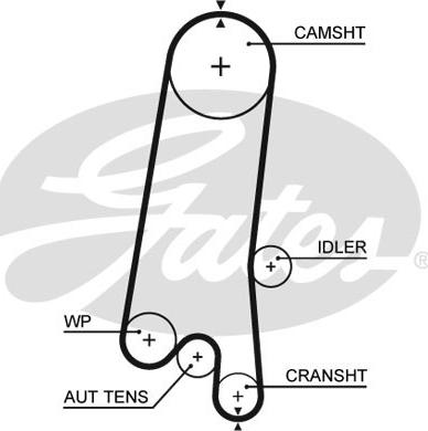 Gates 5597XS - Correa dentada parts5.com