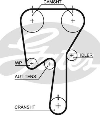 Gates 5509XS - Curea de distributie parts5.com