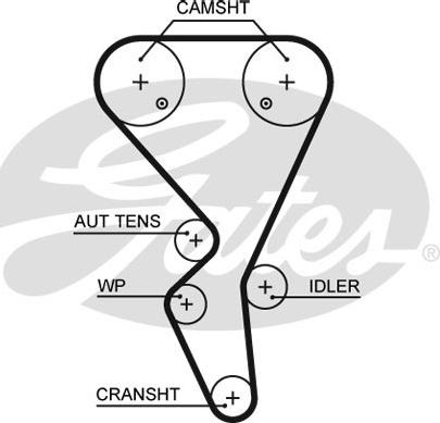 Gates 5581XS - Ангренажен ремък parts5.com