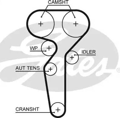 Gates 5655XS - Curea de distributie parts5.com