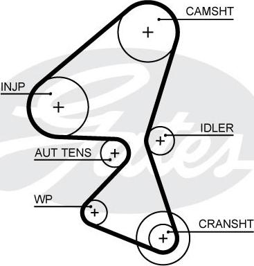 Gates 5656XS - Timing Belt parts5.com