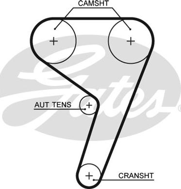 Gates 5669XS - Ангренажен ремък parts5.com