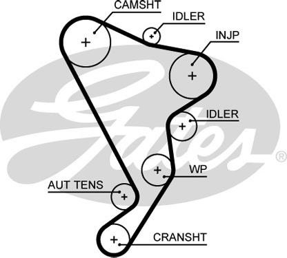 Gates 5661XS - Triger kayışı parts5.com