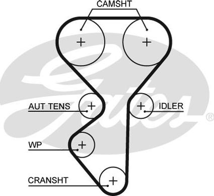 Gates 5631XS - Curea de distributie parts5.com