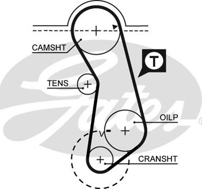 Gates 5016 - Οδοντωτός ιμάντας parts5.com