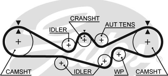Gates 5537XS - Curea de distributie parts5.com