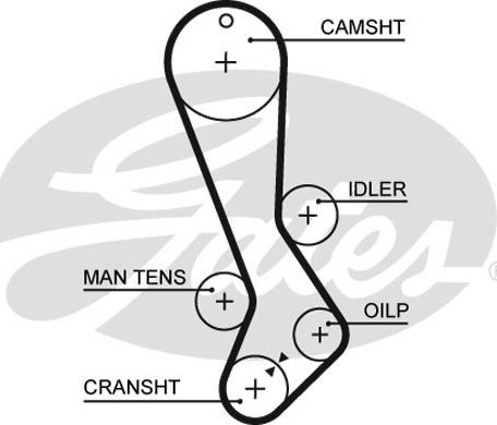 Gates 5282XS - Zupčasti kaiš parts5.com