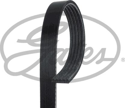 Gates 5PK700 - V-Ribbed Belt parts5.com