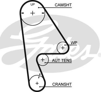 Gates 5410XS - Zupčasti kaiš parts5.com