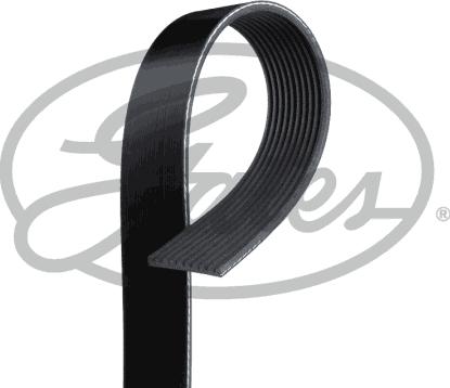 Gates 10PK1628HD - V-Ribbed Belt parts5.com