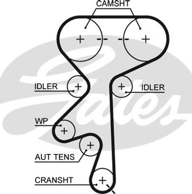 Gates 5369XS - Fogasszíj parts5.com