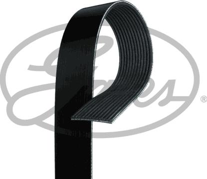 Gates 12PK1830HD - V-Ribbed Belt parts5.com