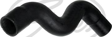 Gates 3836 - Radiator Hose parts5.com