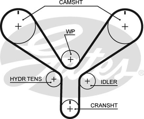 Gates T286 - Zupčasti remen parts5.com