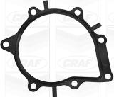 Graf PA1049 - Pompa apa parts5.com