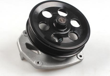 Hepu P392 - Water Pump parts5.com