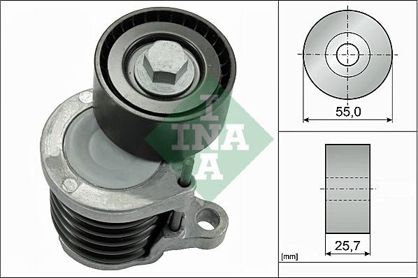 INA 534 0591 10 - Intinzator curea, curea distributie parts5.com