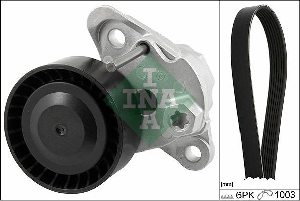 INA 529 0208 10 - Set curea transmisie cu caneluri parts5.com