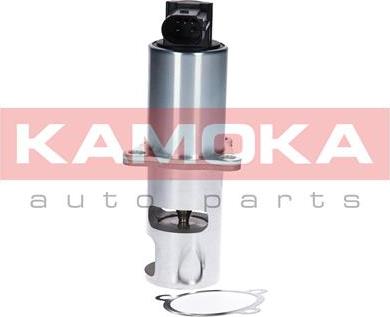 Kamoka 19010 - AGR-Клапан parts5.com