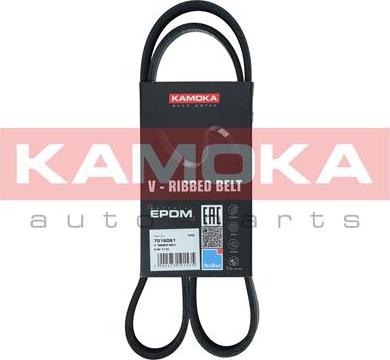 Kamoka 7016061 - Поликлиновой ремень parts5.com