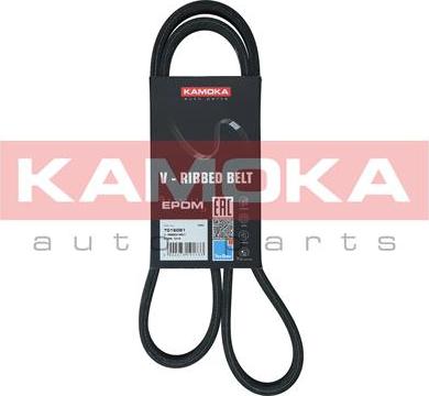 Kamoka 7016081 - Curea transmisie cu caneluri parts5.com