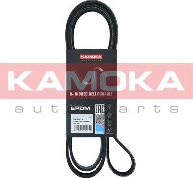 Kamoka 7016173 - Pasek klinowy wielorowkowy parts5.com