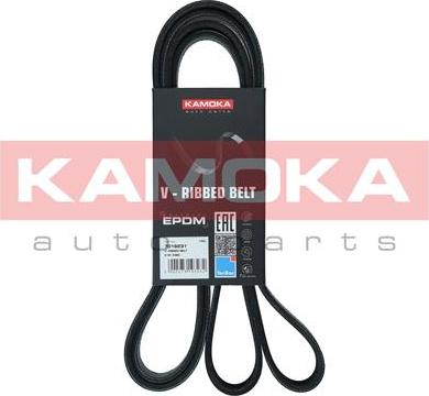 Kamoka 7016231 - Pasek klinowy wielorowkowy parts5.com