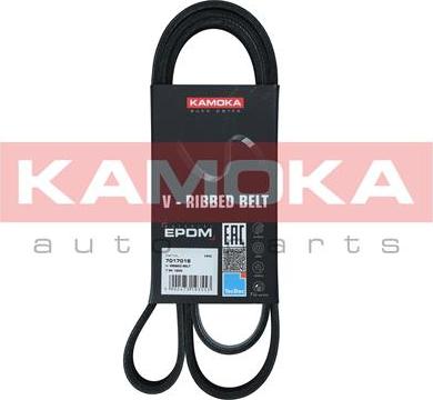 Kamoka 7017018 - V-Ribbed Belt parts5.com