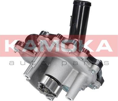 Kamoka T0096 - Water Pump parts5.com