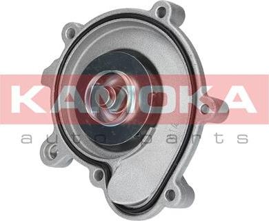 Kamoka T0194 - Water Pump parts5.com