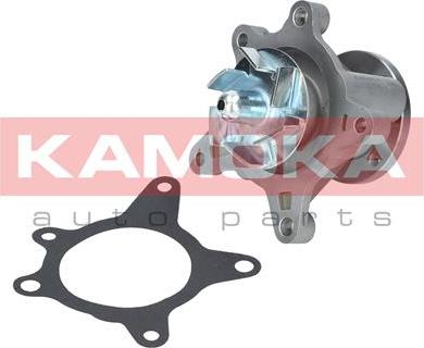 Kamoka T0163 - Water Pump parts5.com