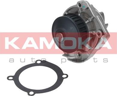 Kamoka T0118 - Water Pump parts5.com