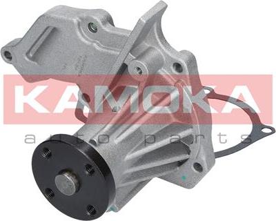 Kamoka T0134 - Water Pump parts5.com