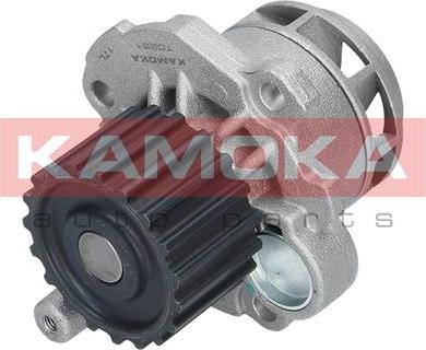 Kamoka T0251 - Vízszivattyú parts5.com