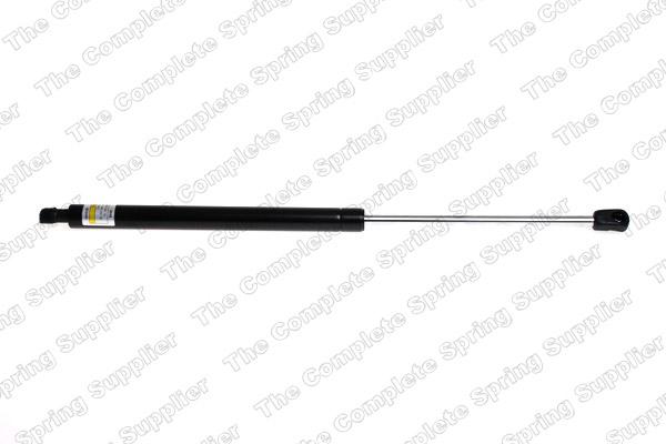 Lesjöfors 8104219 - Gas Spring, boot, cargo area parts5.com