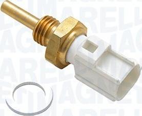 Magneti Marelli 171916011620 - Andur,Jahutusvedeliku temp. parts5.com