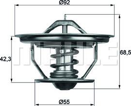 MAHLE TX 35 79 - Termostat,lichid racire parts5.com