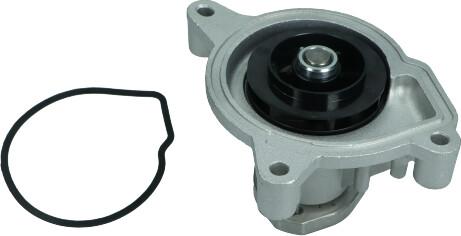 Maxgear 47-0241 - Su pompası parts5.com